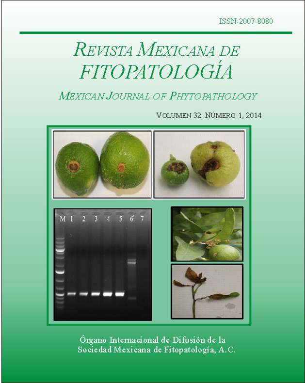 Portada de la Revista