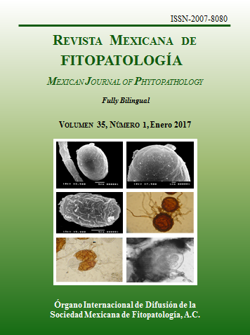 Portada de la Revista