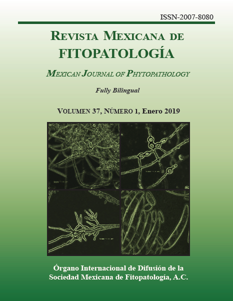 Portada de la Revista