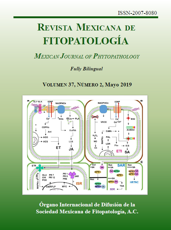 Portada de la Revista
