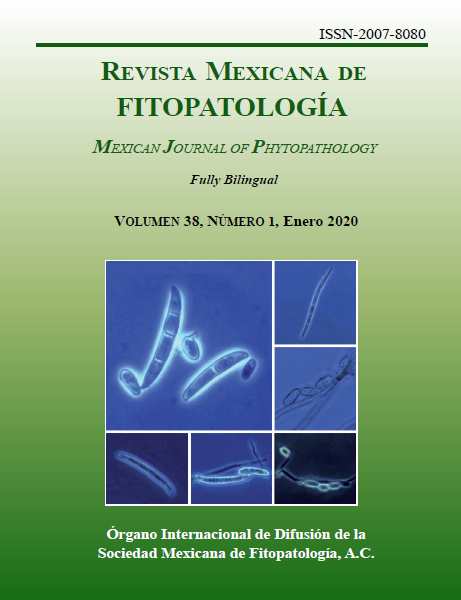 Portada de la Revista