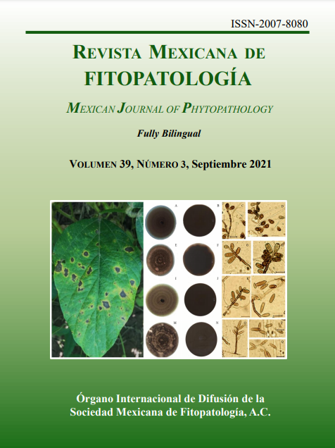 Portada de la Revista