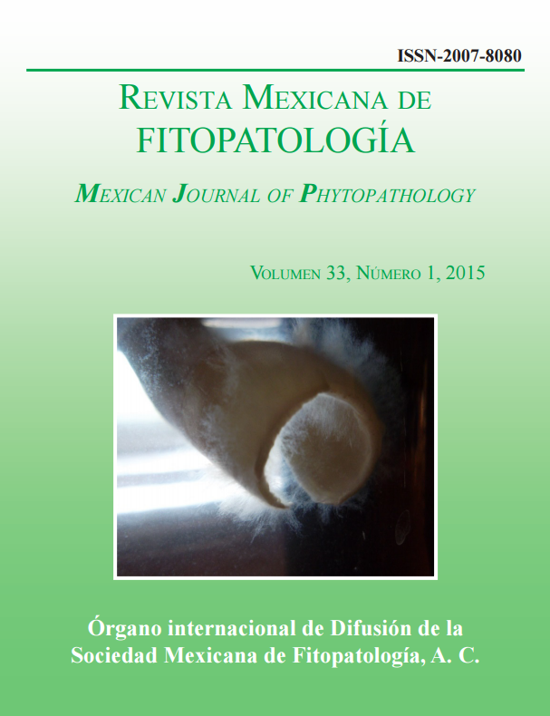 Portada de la Revista
