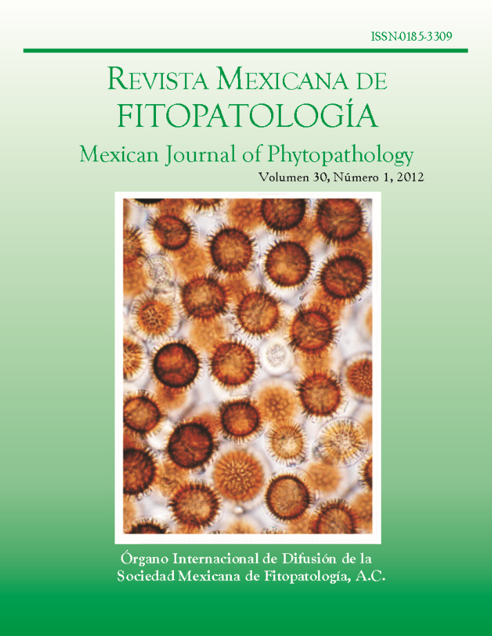 Portada de la Revista