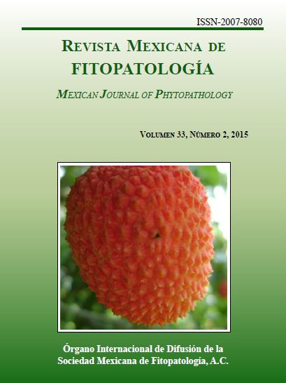 Portada de la Revista