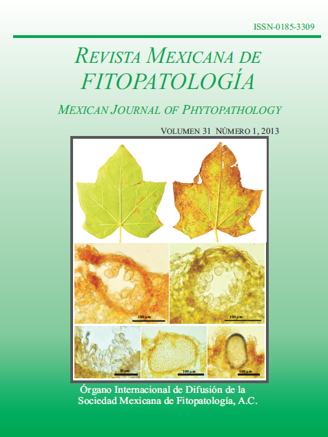 Portada de la Revista